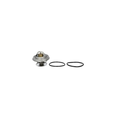 Termostat lichid racire MERCEDES-BENZ T2 LN1 platou sasiu BEHR TX1875D foto