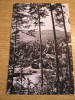QW24 C - Carte postala - tematica turism - vedere - Calimanesti 5, Circulata, Fotografie