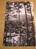 QW24 C - Carte postala - tematica turism - vedere - Calimanesti 5, Circulata, Fotografie