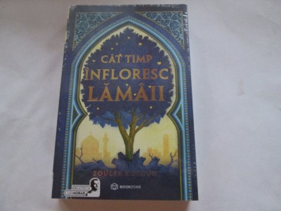 CAT TIMP INFLORESC LAMAII - ZOULFA KATOUH foto