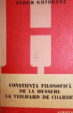 CONSTIINTA FILOSOFICA DE LA HUSSERL LA TEILHARD DE CHARDIN, Junimea