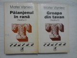 TEATRU Paianjenul in rana (Teatru I) * Groapa din tavan (Teatru II) - Matei Visniec