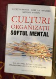 Culturi si organizatii : softul mental / Geert Hofstede, Gert Jan Hofstede, Michael Minkov