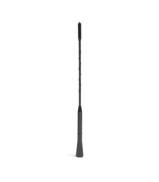 Tija de antena 24cm universala auto cu adaptoare M&#039;N&#039;C