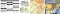 icon 8