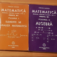 Manuale de matematica clasa a XII a, profil M1 de Mircea Ganga (2 vol.)