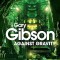 Gary Gibson - Against Gravity