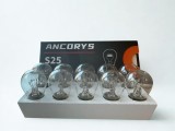 Bec P21Ws Halogen