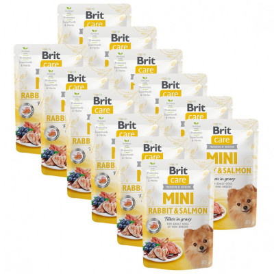 Brit Care MINI Rabbit &amp;amp;amp; Salmon 12 x 85 g foto