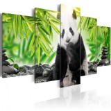 Cumpara ieftin Tablou - Sweet Little Panda 100x50 cm