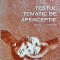 Vasile Preda - Testul tematic de aperceptie
