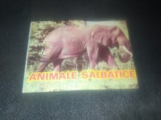 ANIMALE SALBATICE PENTRU COPII DE 1 3 ANI