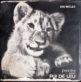 POVESTEA UNUI PUI DE LEU-ION MICLEA-360937