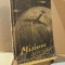 A. P. Stepenko -Misiune speciala (1945)
