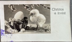 Felicitare interbelică rom&acirc;nească Christos a inviat! / stampila Monopolul Cartilor Postale Ilustrate / scrisa verso / de colectie / Stolnici ARGES