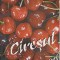 CIRESUL-SERGIU BUDAN, GICA GRADINARIU-250908