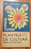 Plantele de cultura de Gh. Bilteanu. Colectia Cristal