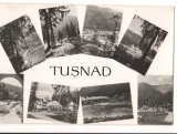 CPIB 15488 TUSNAD. MOZAIC, RPR