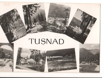 CPIB 15488 TUSNAD. MOZAIC, RPR foto