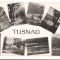 CPIB 15488 TUSNAD. MOZAIC, RPR