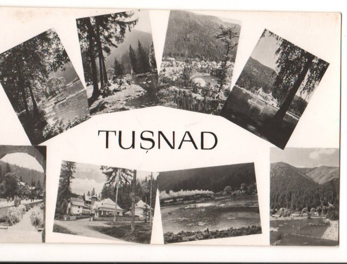 CPIB 15488 TUSNAD. MOZAIC, RPR