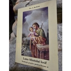 Luna Sfantului Iosif. Meditatii practice pentru fiecare zi - Par.A. Berlioux