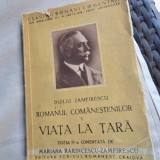 Romanul Comanestilor I, Viata la tara - Duiliu Zamfirescu
