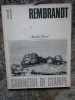 REMBRANDT - AMELIA PAVEL