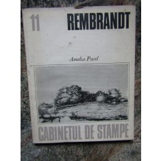 REMBRANDT - AMELIA PAVEL