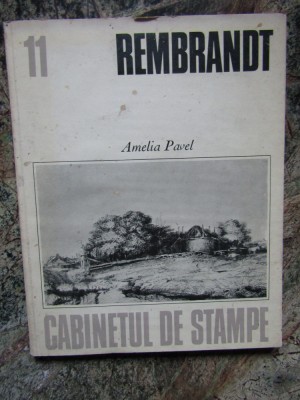 REMBRANDT - AMELIA PAVEL foto