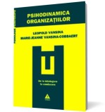 Psihodinamica organizatiilor - Trei