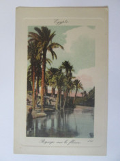 Carte postala necirculata Egipt-Peisaj de pe fluviul Nil circa 1900 foto