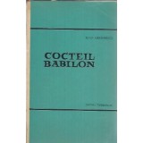 Cocteil Babilon. Reportaj din America - Ioan Grigorescu