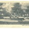 4937 - PLOIESTI, Public garden, Romania - old postcard - used - 1927