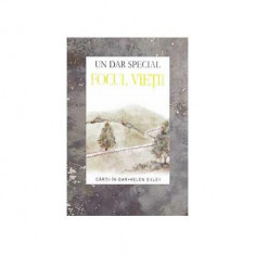 Focul vieÅ£ii - Paperback brosat - Helen Exley - Helen Exley