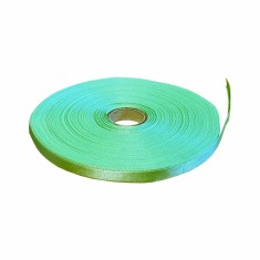 Panglica Dublu Satinata vernil 10 mm, satin 50 m