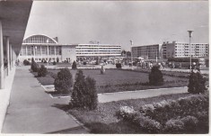 bnk cp Constanta - Piata garii - circulata