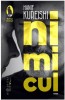 Nimicul - Hanif Kureishi - Roman de Dragoste