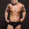Bikini Barbati Basic Modern Brief S/M Envy