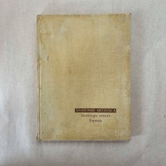 Gh. Ghitescu - Anatomie artistica - Vol. 3 - Morfologia artistica