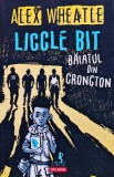 Liccle Bit, băiatul din Crongton - 2019 - Alex Wheatle (J470)