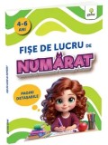 Cumpara ieftin Fise de lucru de numarat. Pagini detasabile/***