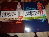 Anatomia omului ( aparatul locomotor + splanhnologia )- Victor Papilian an 2014