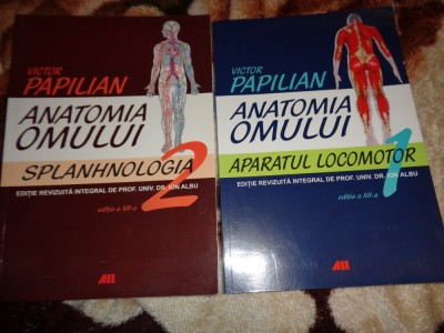Anatomia omului ( aparatul locomotor + splanhnologia )- Victor Papilian an 2014 ( Predare personala Bucuresti ) foto