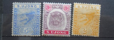 MALAYA S.UJONG MH foto