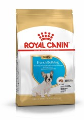 ROYAL CANIN BULLDOG FRAN?UZESC JUNIOR - 3 kg foto
