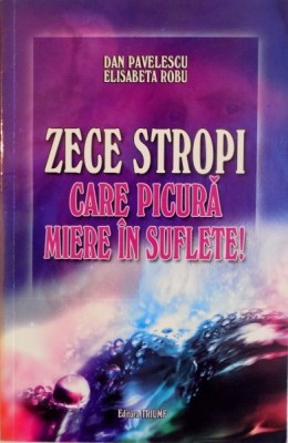 ZECE STROPI CARE PICURA MIERE IN SUFLETE de DAN PAVELESCU, 2009 foto