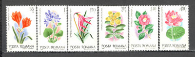 Romania.1980 Flori exotice ZR.646 foto