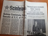 Scanteia 11 martie 1977-articole si foto cutremurul din 4 martie