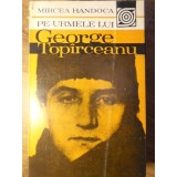 PE URMELE LUI GEORGE TOPARCEANU-MIRCEA HANDOACA-126947